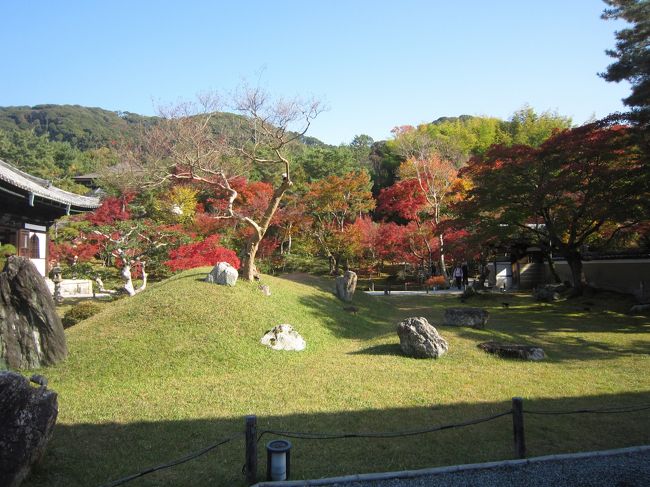 京都・秋の高台寺など祇園界隈散策