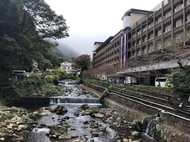 おもいがけなく休暇をいただき、家族には内緒で急遽箱根湯本に平日goto日帰りプチ贅沢一人旅。<br />今回は◆ＧＯＴＯ商品／列車で行く日帰り　天成園　入浴＆ランチ　を　えきねっとで購入。<br />朝子どもたちと夫を送り出して、夕方帰ってくるまでの束の間の時間。<br /><br />もちろんマスクをして、アルコールスプレーを持ち歩いて、頻繁に水道で手を洗って、密を避けて、時間や場所を選んで…でしたが。<br />グリーン車に乗って小田原→湯本に行って、<br />ヴェネチアンガラスの箸置き作りを体験して、<br />籠清で期間限定カニの籠清揚げを食べ歩き<br />（ひとりでムセて大変だったー）<br />天成園で御膳をいただき、露天風呂に入って、全身アカスリをしてピカピカになりました^_^<br />紅葉には1、2週間早かったかなぁ。<br />帰りは夕飯の干物買ってまたグリーン車で帰りました。