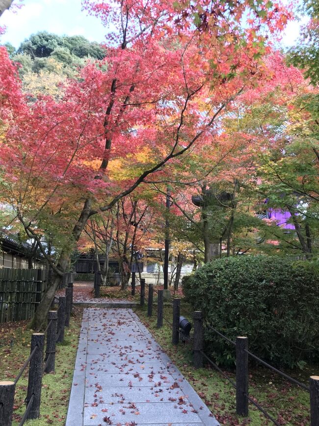 ★凄い★京都の紅葉・もみじの永観堂～～南禅寺はこの次に・・・