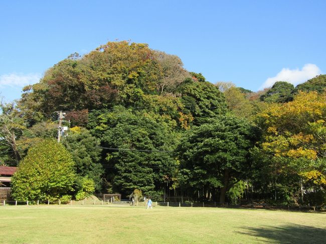 　帰りに永福寺経塚山を眺める。経塚の直ぐ傍まで崩落した二階堂川沿いの崖の工事現場で、崖の立ち木を切った跡の岩の岩盤に鉄のネットを被せる作業をやっている。何人もが、崖上の木にロープを固定し、そのロープに体を預け作業している。この崖の表土と草木を剥いでしまうと、人工的に山の裾野を掘削した崖であることが分かる。すなわち、源頼朝の生前から鎌倉では山裾を掘削して平地を広げていたのだ。ここの崖を見ていると、その後に造られた壽福寺の崖を思い出した。禅宗である臨済宗が鎌倉に入る以前からこうした土木作業が遣られていたのだ。ここ永福寺では伽藍を建てるために裏山を掘削したとされている。しかし、それよりも大規模に経塚のある山の裾も掘削しているのである。経塚は丁度、釈迦堂（二階堂）と阿弥陀堂との間位に当たる。その釈迦堂と薬師堂の真向かいの崖が今回の工事現場だ。そして、狭い二階堂川を挟んで住宅が建っている。よくもこんな場所に建築許可が下りたものだ。<br />　（臨済宗の）壽福寺の崖は垂直であり、頼朝が創建した永福寺（実は天台宗）でもほぼ垂直で、幾分斜度がある崖の部分はこれまでにも何度か崩落した跡であろう。それにしてもその崖の高さはほぼ同じ程度であるが、非常に高く、目がくらむほどだ。<br />（表紙写真は永福寺経塚山）