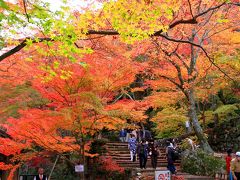 牛滝山　大威徳寺の紅葉