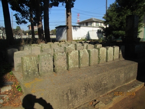 参道脇の石造物、5基。真中に寛保二年(1742)未敷蓮華持ちの聖観音像、台石には二尾の神使。「奉造立稲荷大明神本地佛」の刻字を持ったお稲荷さんです。本当は十一面観音の種子キャをもっていますが像容は聖観音で作られています。いずれにしても滅多にお目にかかれない石佛です。境内には文政十三年聖徳太子塔や八海山・三峰山参拝碑など、珍しいものでは明治35年「諸職工祖神」碑などが点在しています。お目当ての拝殿裏の天保九年?百庚申がありました。全部で大1、小65の66基の文字庚申塔。昔は百有ったのでしょう。参考にさせていただいたブログは下記です。石仏神心 153 房総の石仏200選 野田市編のに詳しく書かれています。http://sekibutu.blogspot.com/