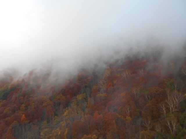 絵葉書の様な紅葉と雪山を一度に味わう信州  感動旅３ソラテラス絶景と松川渓谷裏見の滝と小布施を訪ねる