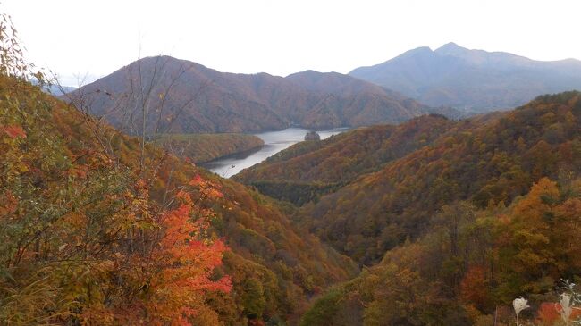 新型コロナ禍で長らく旅行を自粛していたが、周囲のGOTOトラベルブームに煽られ、山形、福島、宮城の秘湯と紅葉の絶景ラインを巡る4泊5日旅に出た。万歩計にとって秘湯、湯治場巡りは、ヨーロッパと並んで旅の2本柱です。<br /><br />10月27日(火)晴れ<br />・五色沼に向かう途中、大塩裏磐梯温泉に寄り道。「日本秘湯を守る会」米澤屋で立寄り湯の予定だったが、生憎冬季入浴は宿泊者のみ。写真だけだがハンティング目的を達成した。<br />・五色沼は紅葉の最盛期。バス停に近い毘沙門沼や柳沼周囲は観光客がいっぱいだったが、その間の探勝路は意外なほど人が少なかった。磐梯山や吾妻連峰をバックに、微妙に色が異なる湖沼と周囲の紅葉は格好の被写体だったが、撮った写真を見るとどれもガッカリする出来栄え。改めて写真の技術とセンスのなさを嘆いた。<br />・五色沼から土湯峠に向かう磐梯吾妻レイクラインは噂に違わぬ絶景ライン。ビューポイントでは多くの車を路肩駐車して写真を撮っていた。特に中津川渓谷の紅葉の素晴らしさは感動モノ。川原で白いギターを弾きながら歌う彼女を動画に撮っていた彼氏、YouTubeにアップしたのかなぁ。<br />***************************************************<br />【旅程】<br /> 1.秘湯中の秘湯 姥湯温泉<br /> https://4travel.jp/travelogue/11658789<br /> 2.滑川温泉で一晩のプチ湯治(泊)<br /> https://4travel.jp/travelogue/11659070<br /> 3.奥羽本線峠駅と城下町米沢<br /> https://4travel.jp/travelogue/11659435<br /> 4.茅葺屋根の宿が残る 白布温泉(泊)<br /> https://4travel.jp/travelogue/11659919<br /> 5.日中線記念館(旧国鉄熱塩駅)<br /> https://4travel.jp/travelogue/11660777<br /> 6.蔵とラーメンの町 喜多方小田付<br /> https://4travel.jp/travelogue/11661257<br />★ 7.五色沼探勝と磐梯吾妻レイクライン<br /> https://4travel.jp/travelogue/11661737<br /> 8.野趣満点の風呂 新野地温泉相模屋旅館(泊)<br /> https://4travel.jp/travelogue/11661896<br /> 9.森のセラピーウォークと土湯峠温泉郷の湯巡り<br /> https://4travel.jp/travelogue/11662120<br /> 10.磐梯吾妻スカイラインと温湯温泉旅館二階堂<br /> https://4travel.jp/travelogue/11662408<br /> 11.こけしの里にひっそり 鎌先温泉(泊)<br /> https://4travel.jp/travelogue/11662967<br /> 12.蔵王エコーラインと青根温泉<br /> https://4travel.jp/travelogue/11663937<br /> 13.紅花商いで栄えた蔵の町 村田①<br /> https://4travel.jp/travelogue/11664306<br /> 14.紅花商いで栄えた蔵の町 村田②<br /> https://4travel.jp/travelogue/11664737
