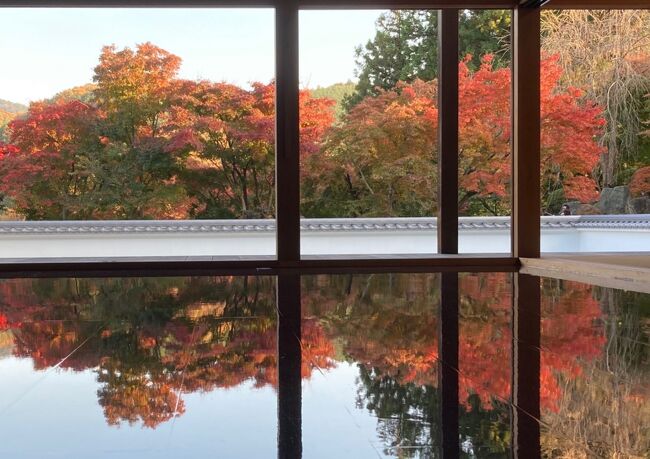 床紅葉の綺麗な場所が、関東にあるらしい。<br />某旅行社から届くパンフレットを見ても、11月を中心に、そこへ行くツアーかいっぱい。<br /><br />よ~し、自分で、平日の天気の良さそうなところで行ってみよう!<br />先日、夏に、日光へ行った時、足尾から日光へバスが通っているのも知ったし、日光から東京へ直行で行くバスもあるようだ。<br /><br />バスは、快適楽ちんなので、バスを使えるところはバスに乗り・・と、いろいろ予定を考え、一日目、床紅葉の綺麗な、宝徳寺のある桐生(初めて行く街)を楽しんで、二日目、やはり紅葉が綺麗だろう、わたらせ渓谷へ通り、ぐるりと日光から帰ってくるプランをたて、一泊二日、プチお出かけしてきました。