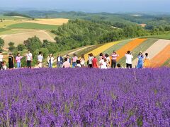 2019夏　美瑛・富良野　丘と花畑の絶景　前編