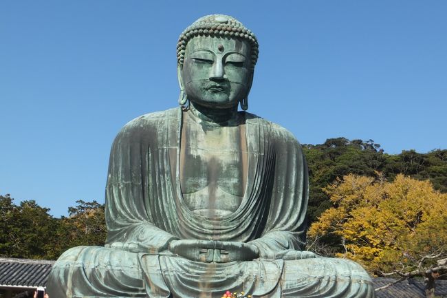 ・2か月前の申し込みで、出発頃にはコロナ感染症がまた急に増え始めたので、多少行くのに不安を感じたが、何せ日頃ジムで毎日泳いでいても老若男女が混雑の中で大丈夫か不安ながらをいつも実施体験で、ままよGoToTravelに行く決意の2度目にチャレンジを。<br /><br />・中学の修学旅行と30数年前の首都圏勤務時代に会社の保養所の箱根や鎌倉に行った以来で、実際の旅費支払い旅費2人分86000円でのキャンペーンでの旅費46千円(35%分)総額132千円に地域クーポン2万円(15%)の恩恵を受けるべき、前回奈良ホテル宿泊のGoToキャンペーンは未だに金は戻ってこないが、これは差し引き払いで旅行業者が手続きである。<br /><br />・GoToの地域クーポンが2万円ついてそれをすべてその地域にしか使えないので、土産物などを買いまくりそれがまた大きな荷物にならなうように軽くて嵩張らないものを選択も大変だった。<br /><br />.とにかく天候に恵まれて日本全国が暖かくて箱根山を意識した服装があだになって、シャツ1枚で歩いても汗ばむほどの状態である。3日目の箱根はべつ。<br /><br />話題の<br />1日目:新大阪駅新幹線グリーン車→浜松からバス【袋井】(桜海老蒸篭付駿河膳の昼食)→「①日本平夢テラス」から富士山の眺望)--【②富士川楽座】(冨士山を眺望)--熱海温泉〈泊〉<br /><br />【宿泊】 ●ホテルニューアカオ<br />※日本屈指の景勝地錦ヶ浦の海上にそびえ建つ③全室オーシャンビューの絶景ホテル <br /><br />2日目:<真鶴半島観光へ原生林をドライブ>④三ツ石海岸(伊豆半島を望む眺望)→【⑤お林展望公園】(天然記念物の照葉樹林と大海原の眺望)→【小田原鈴廣】(金目鯛の炙り飯の昼食)→【江ノ島駅】<⑥江ノ島電鉄(湘南海岸を車窓に眺めながら鎌倉へ)>長谷駅・・<徒歩>・・【⑦高徳院】(鎌倉のシンボルである大仏様を参拝)→【⑧○古都鎌倉】(鶴岡八幡宮から段葛まで散策と自由)--箱根湯元温泉〈泊〉<br /><br />【宿泊】天成園<br />※⑨全長17メートルの「天空大露天風呂」でご湯っくり <br /><br />3日目:この日のみ天候は曇りで、ホテル--強羅駅<⑩箱根ケーブル>早雲山<⑪箱根ロープウェイ>【⑫大涌谷】(噴煙をあげる箱根屈指の景地。天気が良ければ富士山が眺望できます)<箱根ロープウェイ>桃源台~~<⑬海賊船に乗って富士山眺望クルージング>~~【箱根町港】→【三島】(釜飯の昼食と⑭富士山眺望)→【⑮沼津御用邸】(歴代の皇族が静養された施設)--浜松駅(新幹線グリーン車)・京都駅下車<br />