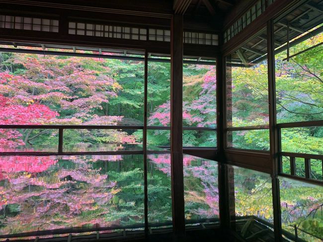 GoToトラベルキャンペーンを使った京都旅行二日目。<br />二日目は嵐山や瑠璃光院に向かいます。<br />