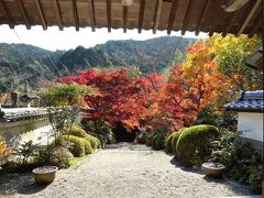 大阪南部をブラブラ・・・紅葉真っ盛りの寺巡り♪　
