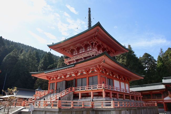 秋の京都・奈良散策⑤【延暦寺】