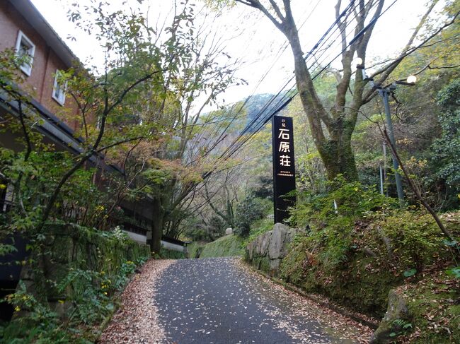 2020.11 【Go To Travel・vol.9】JALで鹿児島《旅行人山荘・妙見石原荘》癒しの温泉めぐり2泊3日！