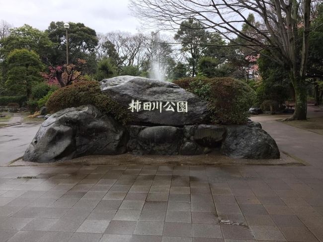 日帰りバスツアー  @柿田川公園