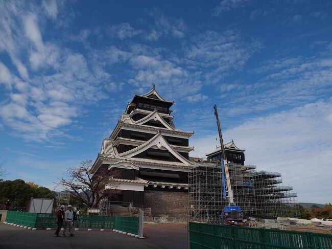 鹿児島から高速を使って熊本県へ!<br /><br />熊本と言えばやっぱり馬刺し<br /><br />久しぶりに食べた馬刺しは最高においしかったです。<br /><br />辛子蓮根や熊本ラーメンと熊本グルメを楽しみました。<br /><br />旅行の最終日は熊本城にも行ってきました。