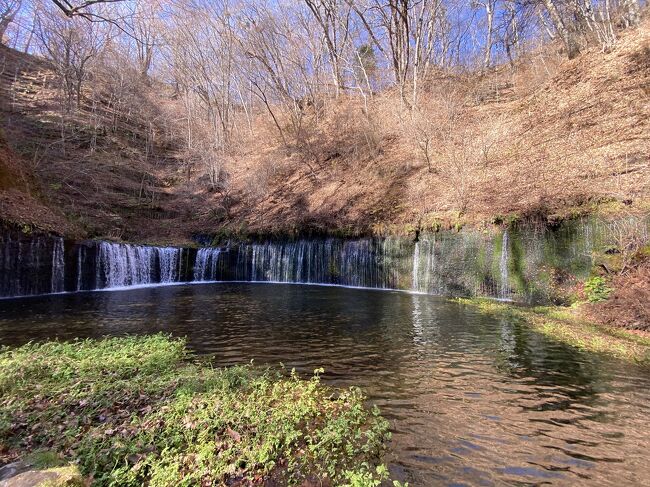 GoToで仙台、徳島へと行きましたが、まだまだどこか行きたい<br />近場で一泊で楽しめる所<br />そんなことで軽井沢に決めました<br /><br />軽井沢も何年ぶりなのかな?ってくらい行ってない<br /><br />紅葉の綺麗な時期など気にせず予約してしまったけど(^-^;<br />綺麗な紅葉が見れるかな・・・