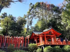 谷中七福神　根津神社　紅葉　1/2