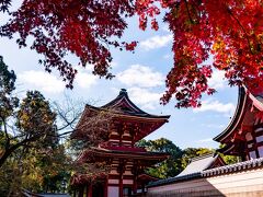 薦神社の紅葉　2020