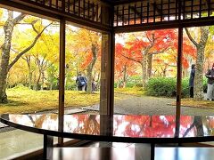 箱根の紅葉と温泉と　箱根美術館　山のホテル　長安寺　ハーベストクラブ箱根翡翠