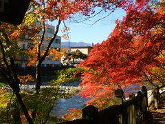 栃木の燃える秋2020③(那須塩原篇）