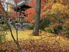 嵯峨野、高雄で紅葉狩り