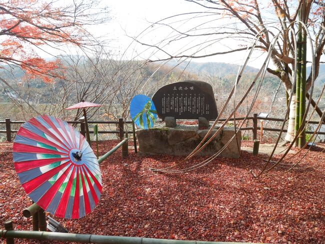 　三次の尾関山公園に紅葉を見に行きました。県北なので11月初旬からシーズンだったらしく、ピークは過ぎていたようですが散って地面に散りばめられた紅葉も充分に美しいものでした。<br />　すぐ近くのみよし本通り商店街を散策しました。「卯建のにあう町」をスローガンにしているだけあって歴史を感じる町並みにレトロ建築も鑑賞できる素敵な場所でした。