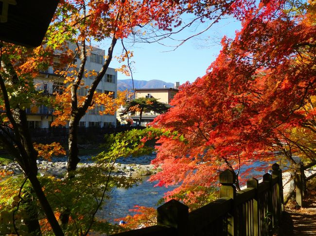 栃木の燃えるような紅葉を求めての旅の2日目は、日塩もみじラインを通り抜けて塩原温泉郷方面へ。<br />予定より30分遅れての出発だったため、やはり若干、車の混雑に巻き込まれた箇所もあったものの・・・<br />錦繍のもみじラインを愛でながらハンドルを握るドライブは何とも楽しいもの。<br /><br />2020年の秋は、9月10月と台風襲来がなかったこともあり、近年まれに見る美しい秋模様があちこちで見られたので、存分に那須塩原の燃える秋を満喫できた一日となりました。