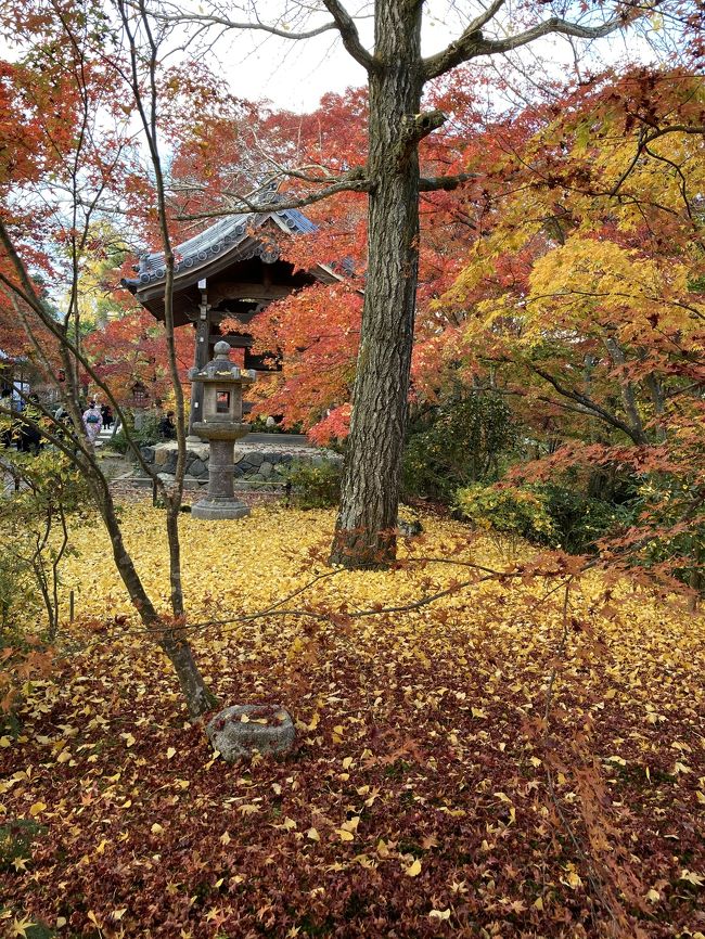 一泊二日京都旅