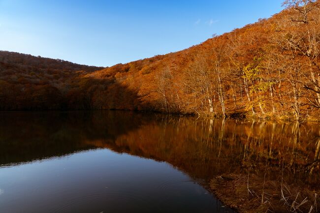 一年ぶりの旅行、十和田・奥入瀬の紅葉の旅行記です。<br />まずはプロローグの1日目。移動がメインで写真は少ないですが十和田湖までの様子をお伝えします。<br /><br />昨年は秋田の紅葉と温泉を体験し、今年も東北のどこかでと思っていたのですが、この状況でなかなか計画できませんでした。その後少し落ち着き Go To キャンペーンも利用できることで急遽計画したのが奥入瀬への旅行です。（11月になってまたたいへんな状況ですが）さらに十和田湖でも１泊することにし、奥入瀬での２泊と合わせ４日間、同じような写真の続く長大な旅行記ですが、1日ごとに区切ってお伝えします。