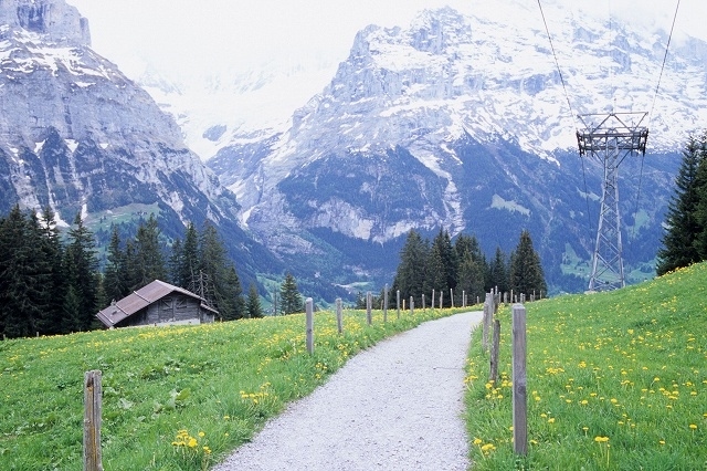 2008年5月24日から6月1日までの9日間、スイスとフランス(パリ)を列車で回る旅をしました。<br />旅の前半はスイスで4泊してアルプス山岳地方のハイキング、後半のフランスではパリで3泊して街歩きをメインに楽しみました。。。<br />旅行の前日までは仕事で泊りの出張。出張から帰った夜から荷造りの始まりです。「持って行く物リスト」はちゃんと手帳に書き込んであるので、手帳を見ながら忘れ物がないように旅行カバンに放り込むだけ。今回は、フイルムカメラのみでの撮影に挑戦しました。空港のX線検査が気になりますが、一枚一枚じっくりとフイルムカメラで撮影するのは、その緊張感があっていいものです。<br />PENTAX LX, PENTAX FA 31mm F1.8AL Limited, FUJI RVP F<br />ASAHI PENTAX MX, PENTAX FA 77mm F1.8 Limited, PENTAX-M 135mm F3.5, FUJI RVP F<br />RICOH GR1, FUJI RXP