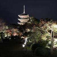 京都東寺の夜景と地元民さえ知らない極秘ライトアップ♬