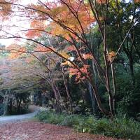 伊賀の旅①忍者★NIPPONIA HOTEL 伊賀上野に泊まる