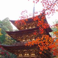 湖東三山（西明寺）の紅葉と金剛苑