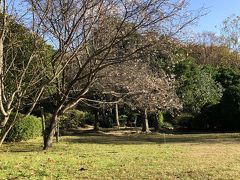 北山緑化植物園へ