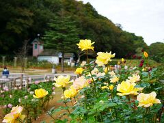 市川市動植物園へ久しぶりのお出かけ-2020.11-