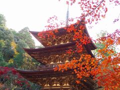 湖東三山（西明寺）の紅葉と金剛苑