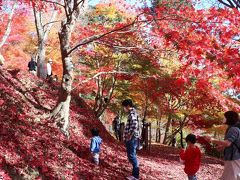 宍粟市の原不動滝と最上山公園へ紅葉狩りに出かけて来ました