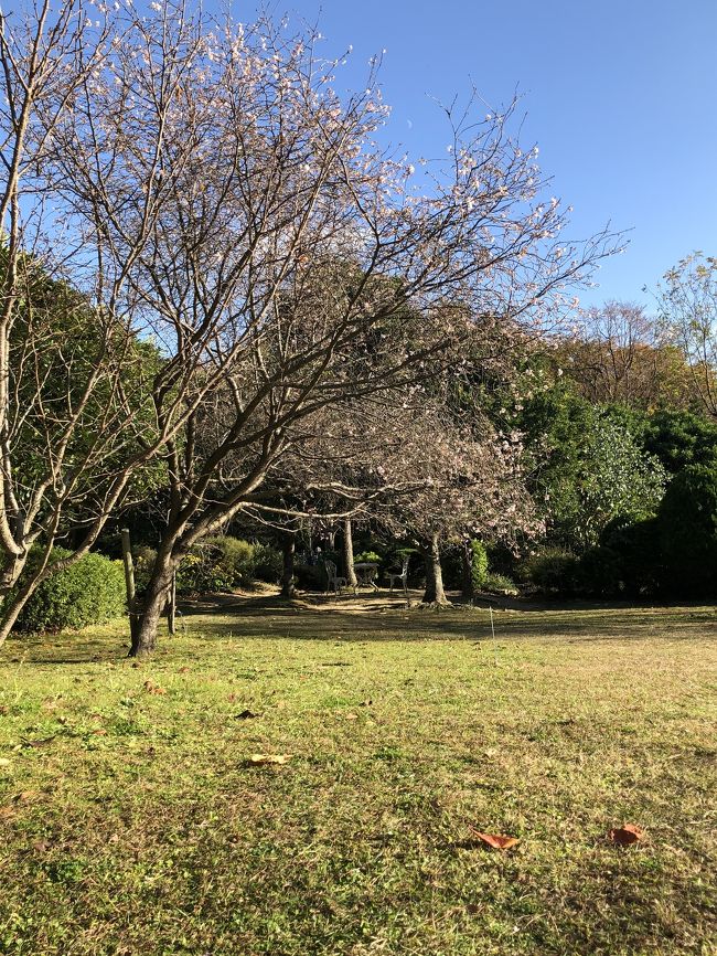 遠出もできないから…<br />密を避けて近所に出かけました!