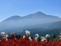 天孫降臨の舞台を訪れ高千穂峰を眺める1日(霧島神宮・御池・狭野神社・皇子原神社・霧島東神社)