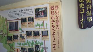 二年ぶり？！コロナのおかげで叶った家族旅行 ～鹿児島編⑦～