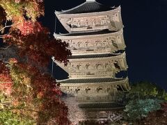 紅葉京都　真如堂　金戒光明寺　御寺泉涌寺別院　雲龍院　東寺ライトアップ　ホテルグランヴィア京都　グランヴィアラウンジ！　