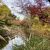 東京・庭園の紅葉2020～甘泉園庭園と水稲荷神社～の写真
