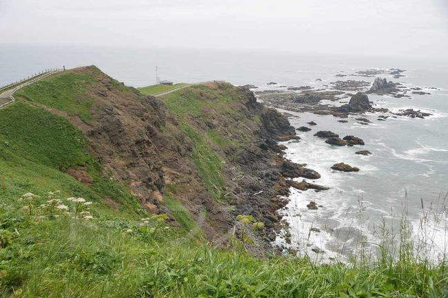 トーフスキーは北海道が好きで、以前から5月から6月にかけてよく出かけてました。<br />このブログに投稿した、礼文利尻の旅も6月末に行きました。<br />礼文利尻の旅はこちら。<br />https://toufuski.blog.fc2.com/blog-entry-2919.html<br /><br />その他にはブログには投稿してませんが、納沙布を中心とした道東が好きで何度か行ってます。<br />道東の荒涼とした景色がたまらないんですよね。<br /><br />そんな北海道好きのトーフスキーですが、今回は道東ではなく、道央に行きます。<br />目的地はえりも岬ぃ!<br /><br />北海道の岬といえば、納沙布岬はもちろん、宗谷岬に地球岬、霧多布岬、神威岬と行ったんですが、有名なえりも岬にはまだ行ったことがありません。<br />やっぱりちょっと遠いですよね。<br /><br />そんなえりも岬が今回の旅の目的。<br />札幌からレンタカーを借りて頑張って走るつもりです。<br /><br />エアはいつものピーチではなく、今回は往路はANA、復路はJALです。<br />もともとは、関空-新千歳で往復とも予約していたんですが、この便がANAもJALも欠航になってしまいました。<br />伊丹-新千歳便はあったので、そちらに振り替えてもらおうかとも思ったんですが、この際なんで羽田経由にしてもらいました。<br />特に急ぐ旅でもないんでねぇ。<br /><br />往路はANAで、関空-羽田-新千歳という便。<br />復路のJALは関空-羽田便は欠航のままなので、新千歳-羽田-伊丹という経路です。<br />往復とも羽田で1時間以上の待ち時間があるので、蕎麦でも食べてこようかと思ってます。<br />東京の蕎麦が好きなんですよ。<br /><br />トーフスキーにとって飛行機での旅は、今年4月にピーチで出かけた奄美大島以来。<br />なんと、3ヶ月ぶりです。<br />これだけ長期で飛行機に乗らなかったのは10年以上経験がありません。<br />久しぶりの空の旅でちょっとわくわくしています。<br />国内であっても飛行機で旅ができるのはうれしいですよね。<br /><br />ということで、ちょっとえりも岬に行ってきます。<br /><br />この旅の目次はこちら。<br />https://toufuski.blog.fc2.com/blog-entry-4446.html<br /><br />旅行記はこちらから。<br />https://toufuski.blog.fc2.com/blog-entry-4447.html