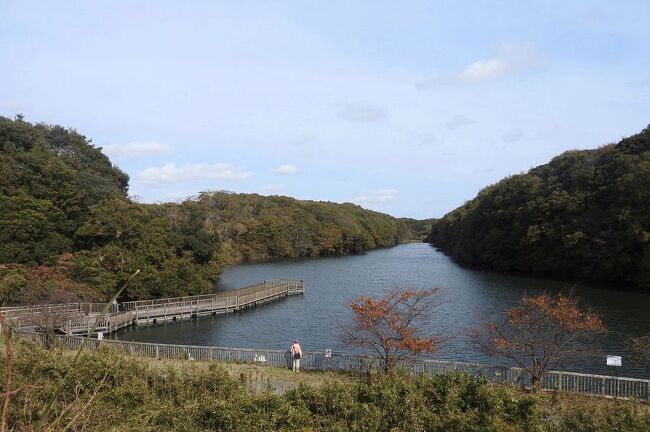 　水郷県民の森の中にある大膳池で、バードウォッチングを楽しみました。<br /><br />表紙写真は、大膳池の風景です。<br />