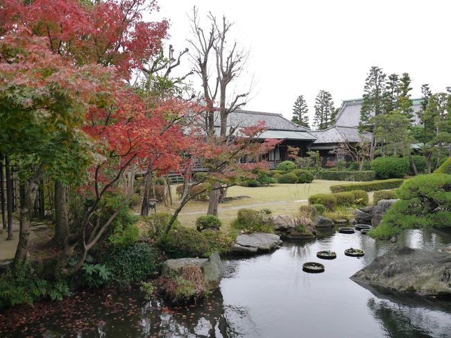 帝釈天 題経寺 彫刻ギャラリーを見学し、邃渓園（すいけいえん）へ。<br />庭園へのは立ち入りはできませんが、周囲に設けられた屋根付きの廊下から庭園を見ることができます。<br />ところどころに秋の風景を楽しむことができました。<br />帝釈天を後に、参道の川千家で鰻重をいただきました。<br />お土産は、定番の草だんご。高木家で購入しました。<br />鰻と草だんご。柴又に来たら、やはりこれですね。<br /><br />晩秋の柴又①☆山本亭・帝釈天 題経寺 彫刻ギャラリー☆2020/11/20<br />https://4travel.jp/travelogue/11661958