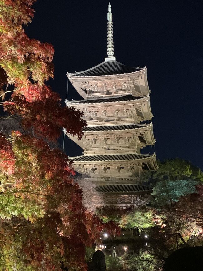 姉と一泊二日で紅葉の京都に行ってきました