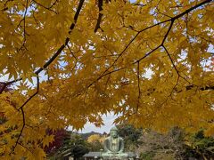 鎌倉＆江の島プチトリップ①/③高徳院と長谷寺