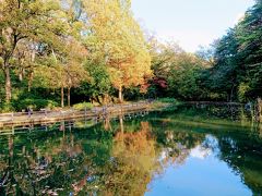 秋の横浜市児童遊園地とこども植物園