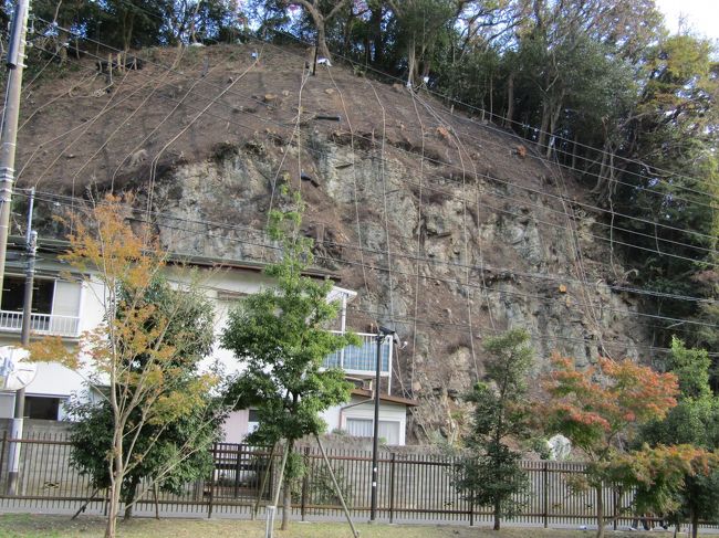 鎌倉時代の始めに、源頼朝が鎌倉の鶴亀の亀として亀ヶ淵に永福寺を建立した。しかし、由緒ある亀の地は二階堂字三堂などに地名が変わってしまった。そしてここ永福寺跡には頼朝に関連するものなど何も残っていないものと思っていた。しかし、頼朝の痕跡が見られた。<br /> 永福寺経塚山の崖は頼朝が永福寺を建立した際に、境内を広くするために、山の裾を削って崖にした。それが今、昨年の台風の復旧事業として急傾斜の崩壊防止対策を講じている。先日(11/19)から崖面に鉄の網を被せる工事から始めている。永福寺の三堂(阿弥陀堂、釈迦堂、薬師堂)の基壇の復原品と本物の頼朝に命じられて掘削された崖とでは「開運!なんでも鑑定団」に出したなら、復原品より本物の価値(評価額)が高いのは言うまでもない。しかし、災害復旧のために、近いうちにコンクリートで覆われてしまう。本来ならば、工事中に鎌倉時代初期の遺跡が出てきたならば、現地説明会をやって、近隣の住民にその頼朝がやらせた仕事を見せるべきであったはずだ。あるいは調査して資料を残すべきであったはずだ。しかし、工事している業者が工事記録程度に撮った写真くらいしか残されてはいないのだろう。世界遺産に落選した鎌倉市のやること(、正確にはやらないこと)であるから、お役所仕事と諦めるしかない。<br /> おそらくは、頼朝の軍(大手軍)が奥州平泉に遠征した大手中路は理智光寺橋から亀ヶ渕橋方面へと伸びていたのではあるまいか?凱旋後に、この地に永福寺を建立する際に三堂の裏山も何段かの段々に掘削して伽藍を建てる敷地を確保している。一方、三堂の向かいにある経塚山の裾野も掘削して池の広さを確保している。この池を造る際に大手中路と二階堂川は付替えられたのであろう。そしてほぼ垂直の崖の下には二階堂川と道路の間に緩衝地を残していた。それが750年も経つとこの土地に住宅を建て、土砂崩れに遭っている。頼朝の指示を守らないからである。<br />(表紙写真は永福寺経塚山の崖)