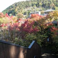 秋の伊豆旅♪　Vol.9　☆湯ヶ島温泉「アルカナイズ」：中庭は赤いモミジ♪