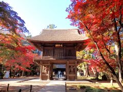 魅惑のグラデーション☆平林寺の紅葉はやっぱり素敵でした！