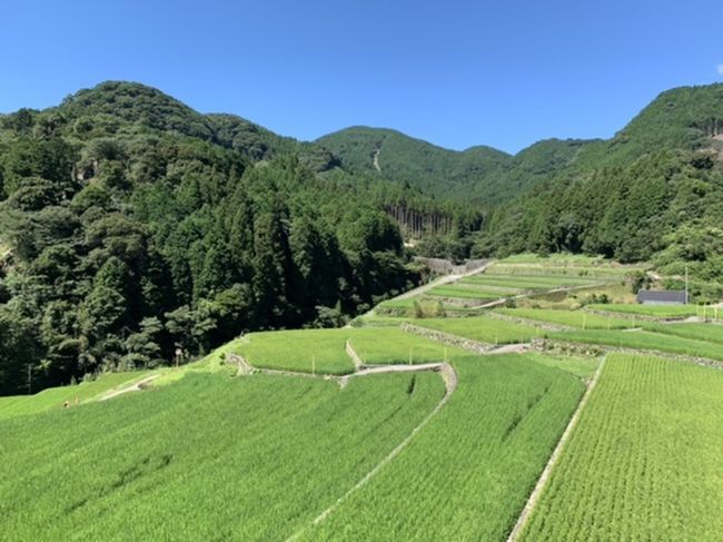 福岡県朝倉郡東峰村。<br />旧宝珠山村の竹地区の棚田に<br />今年の夏、出来たカフェへ<br />行ってまいりました。